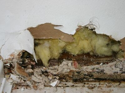 About Waco Water Damage Restoration - water damage restoration experts in Waco